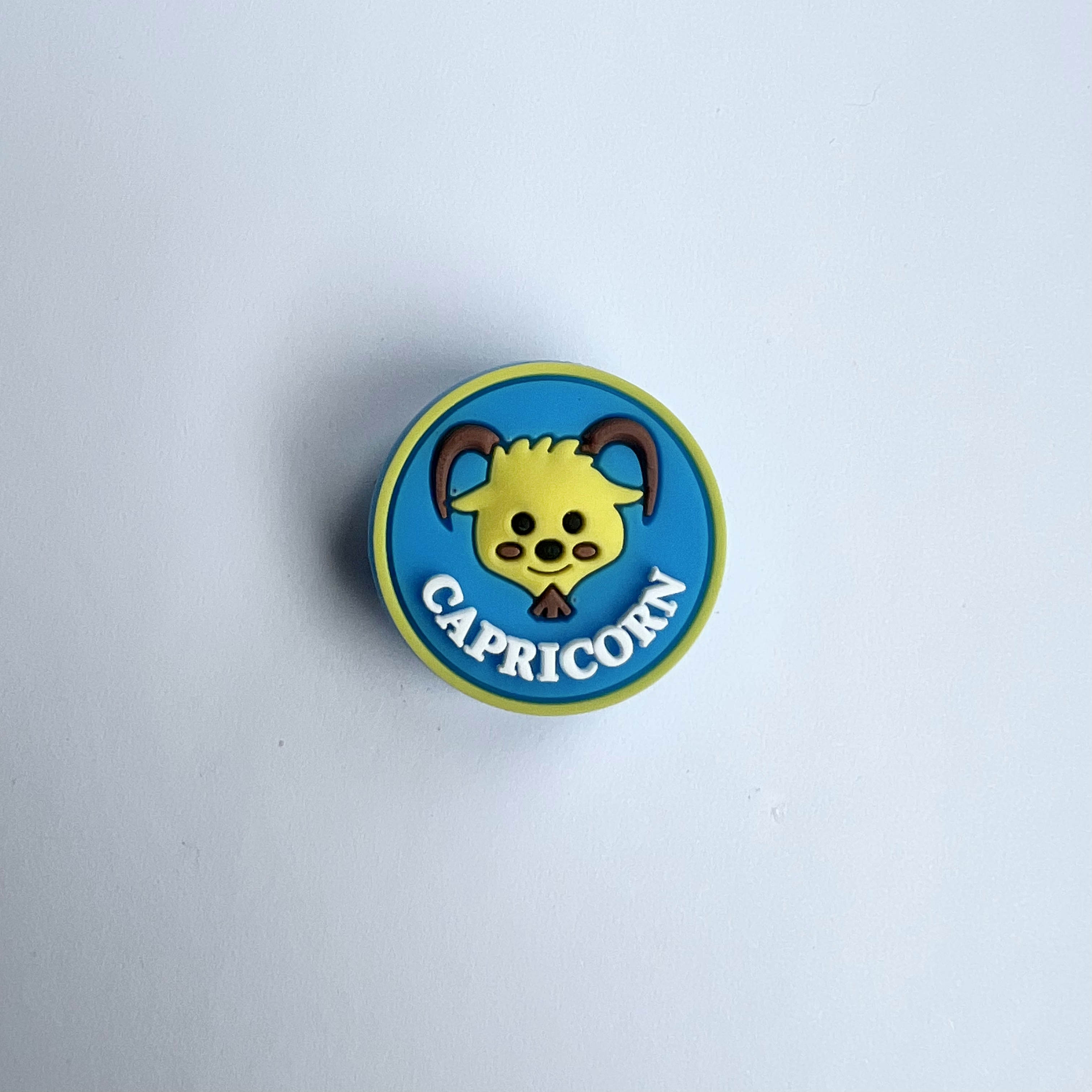 Capricorn Charm