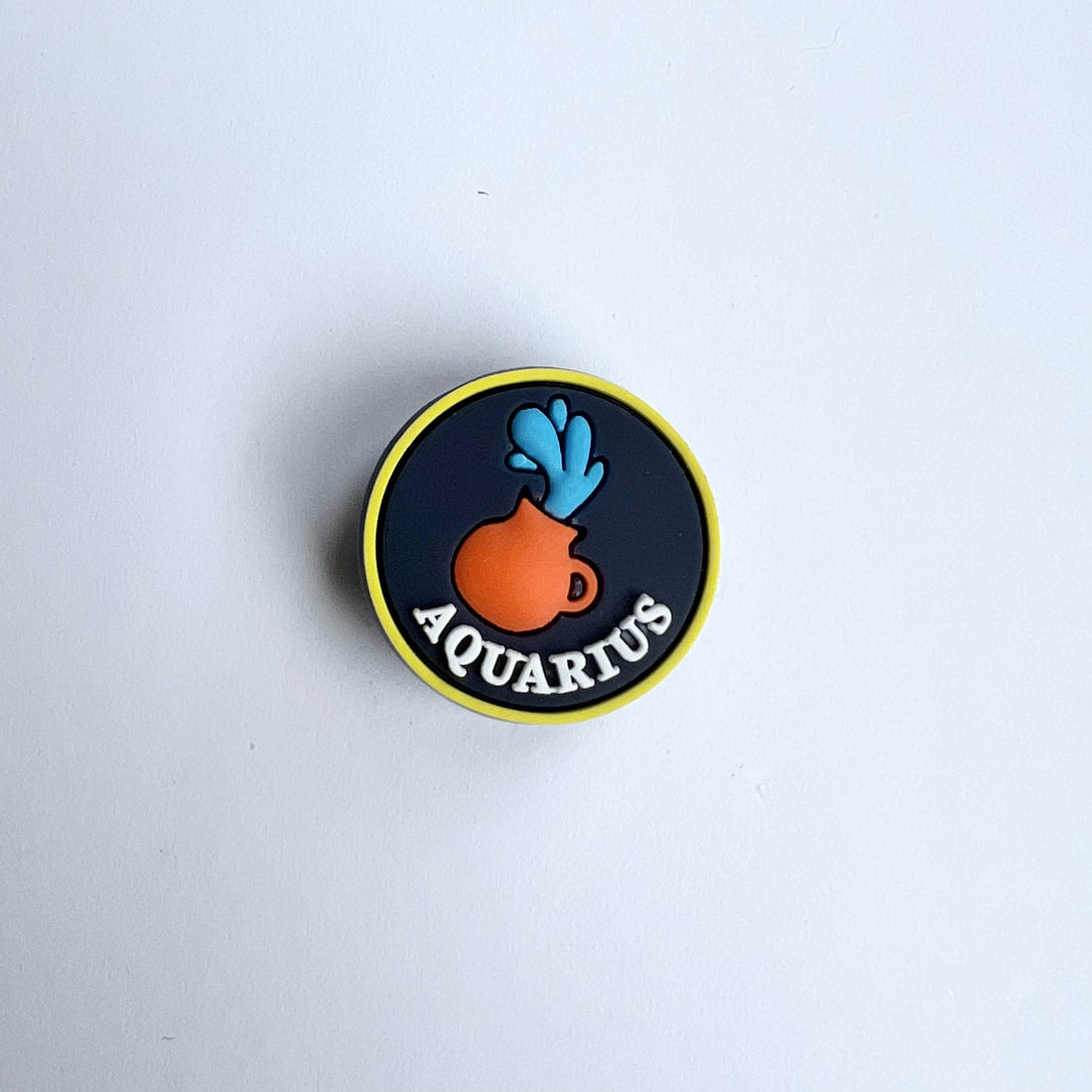 Aquarius Charm
