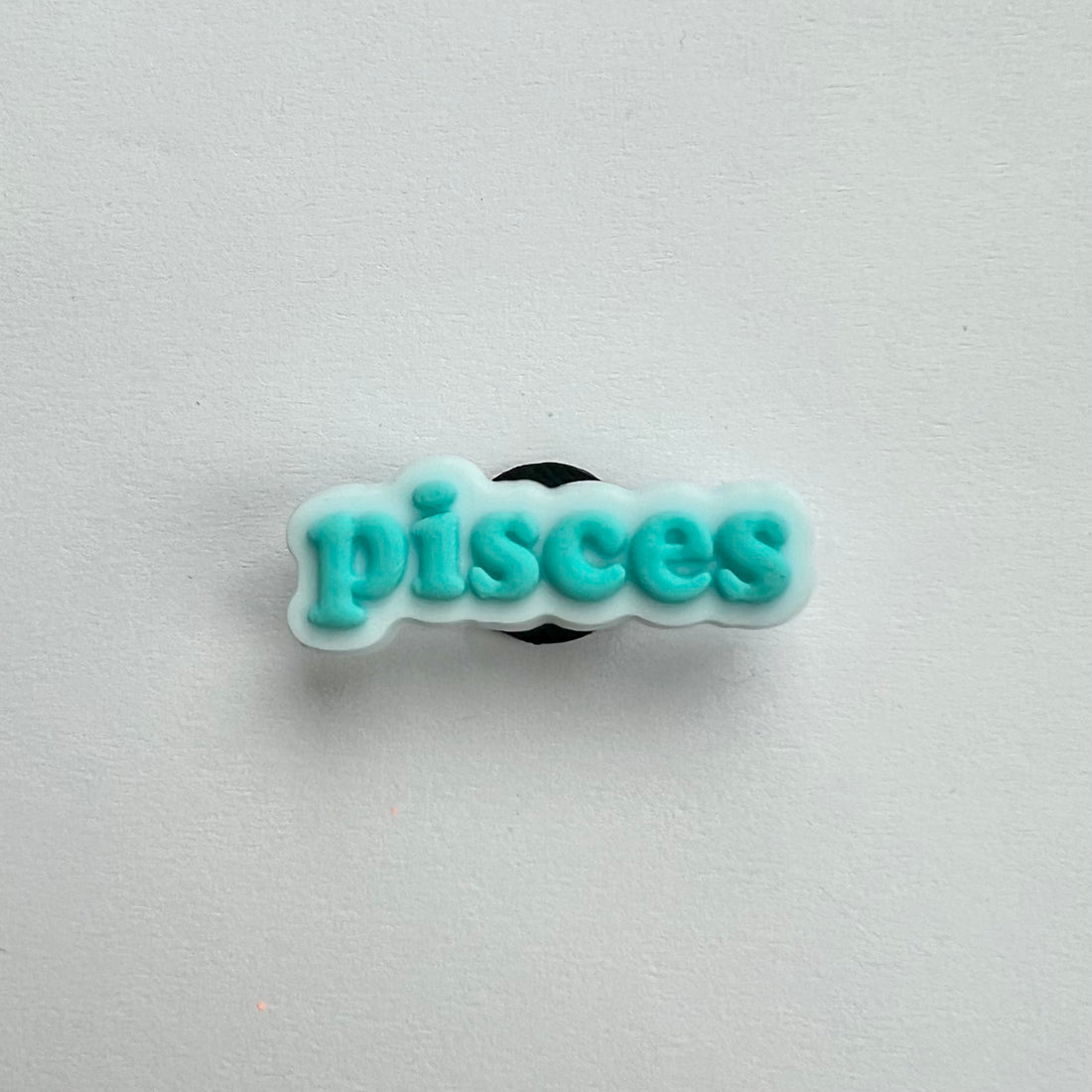 Pisces Charm