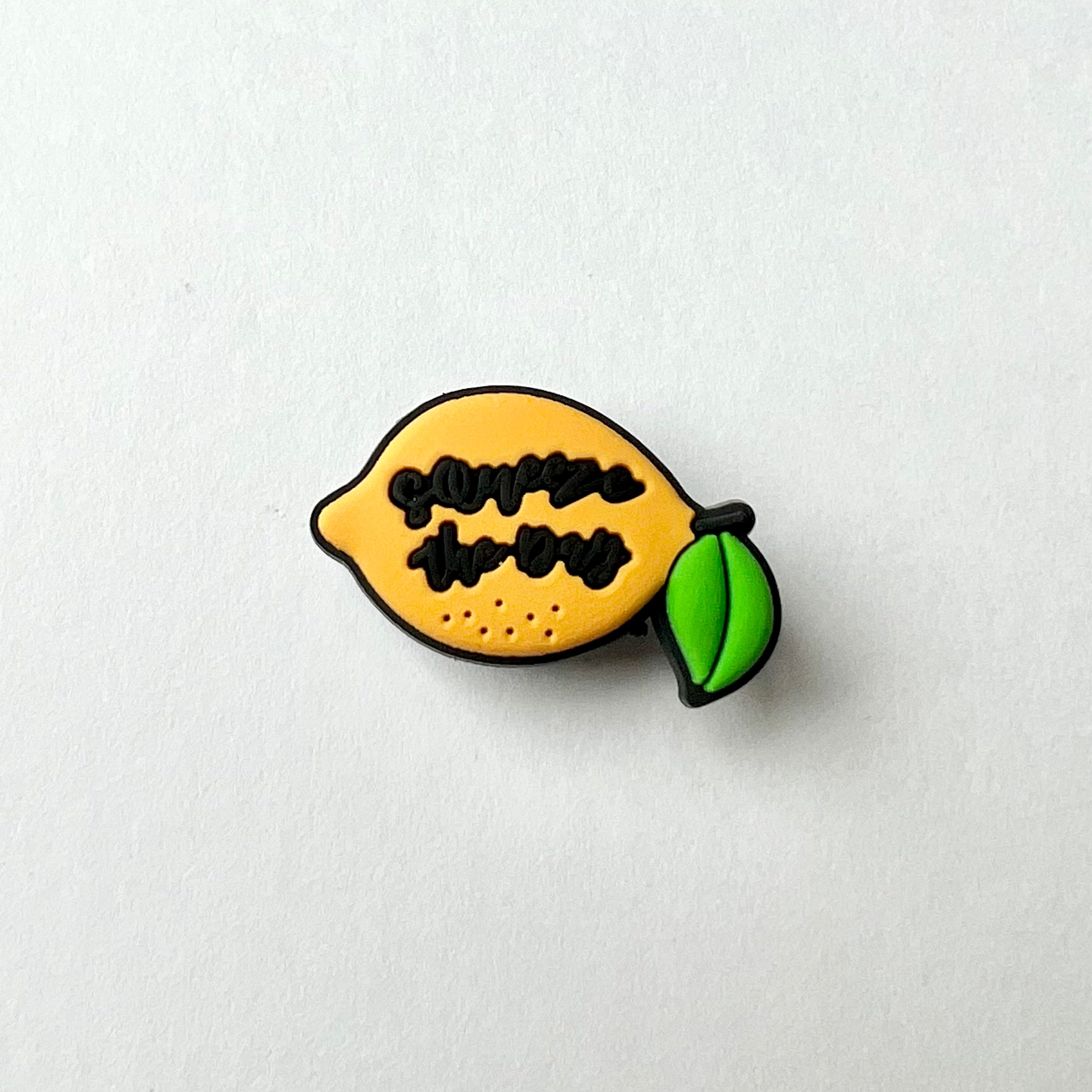 Squeeze The Day Charm