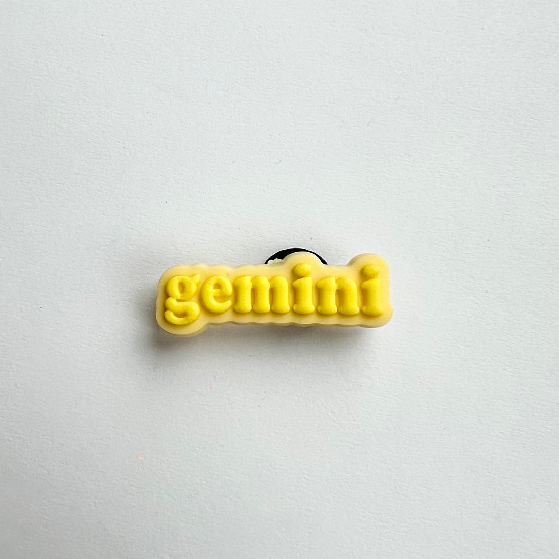 Gemini Charm