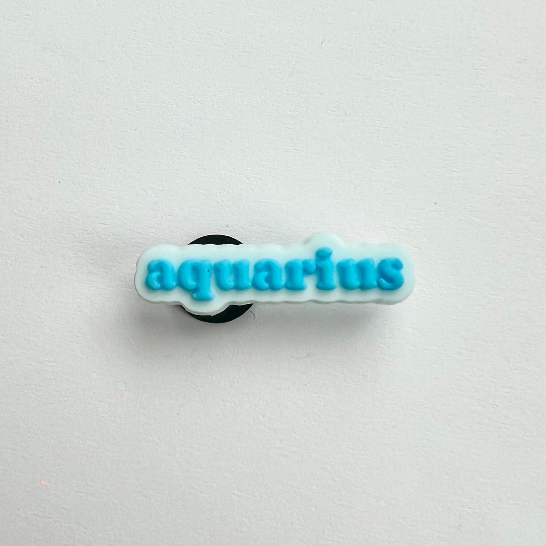 Aquarius Charm