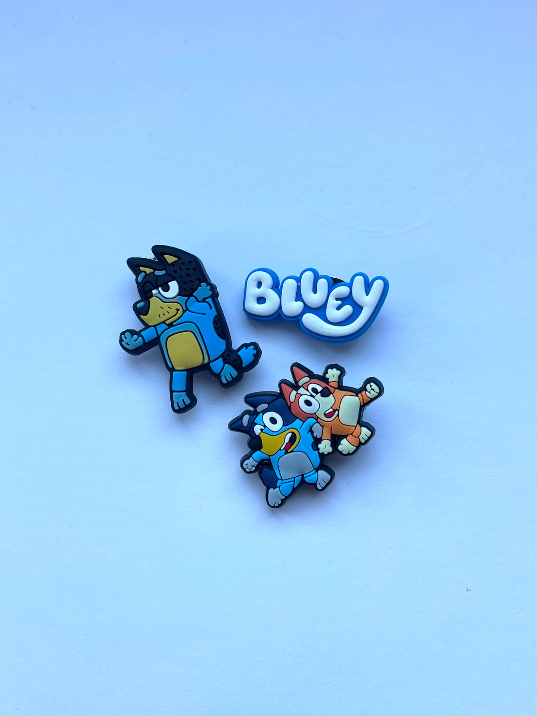 Bluey Charms Pack