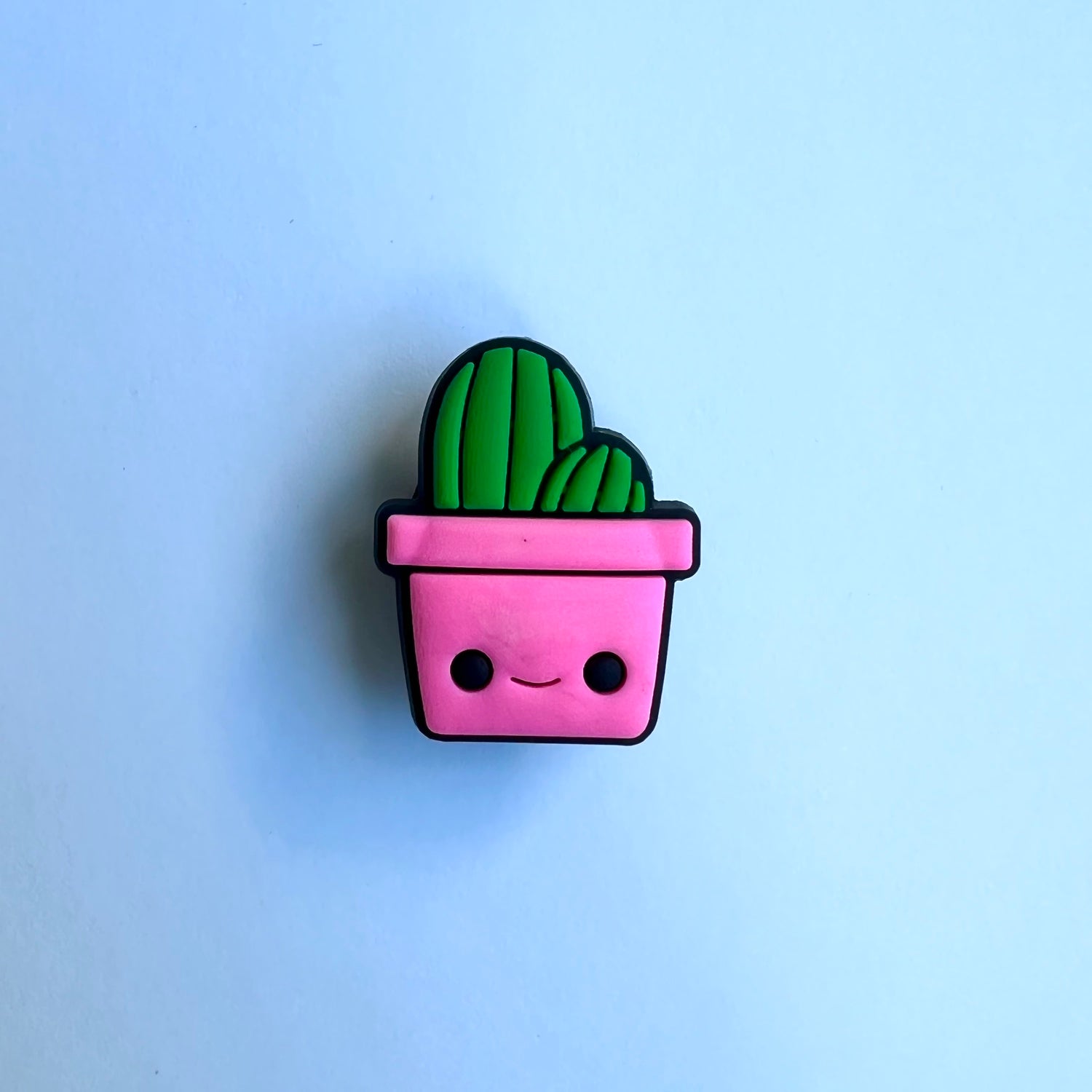 Magic Cactus Charm