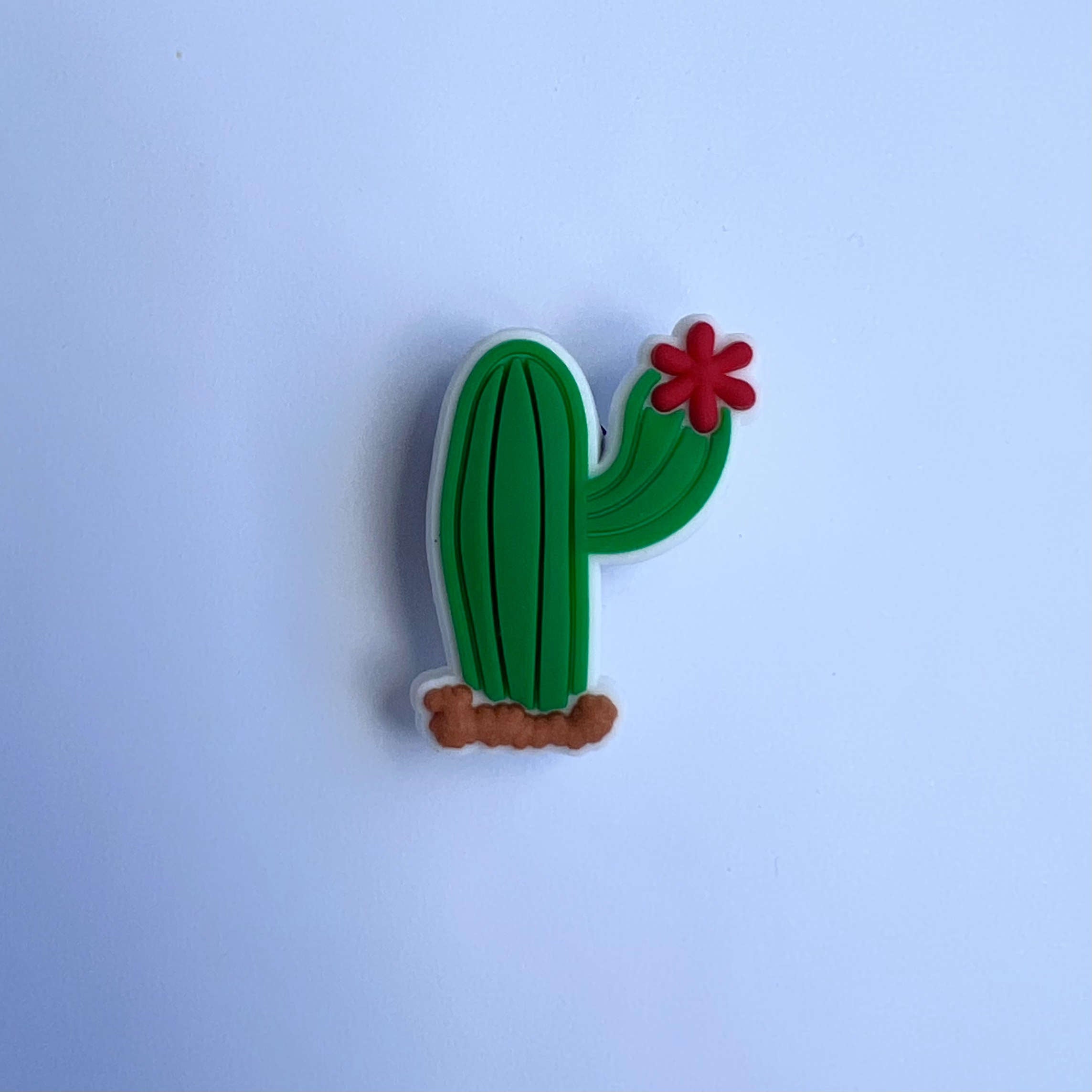 Cactus Charm