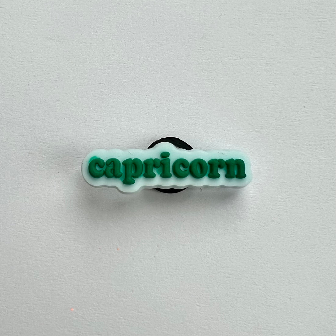 Capricorn Charm