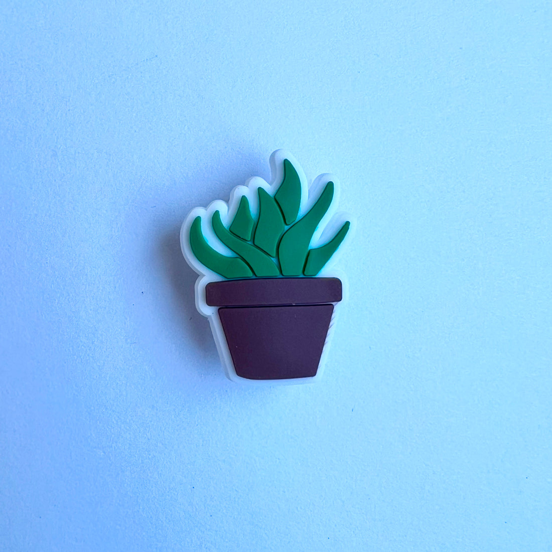 Succulent Charm